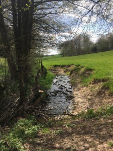 Berges érodées du ruisseau d'Herbas